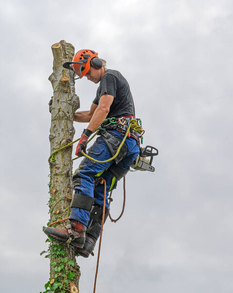 Хирург на вершине Трои
.