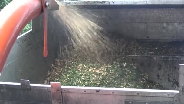 Uma Máquina Lascar Sopra Lascas Madeira Caminhão — Vídeo de Stock