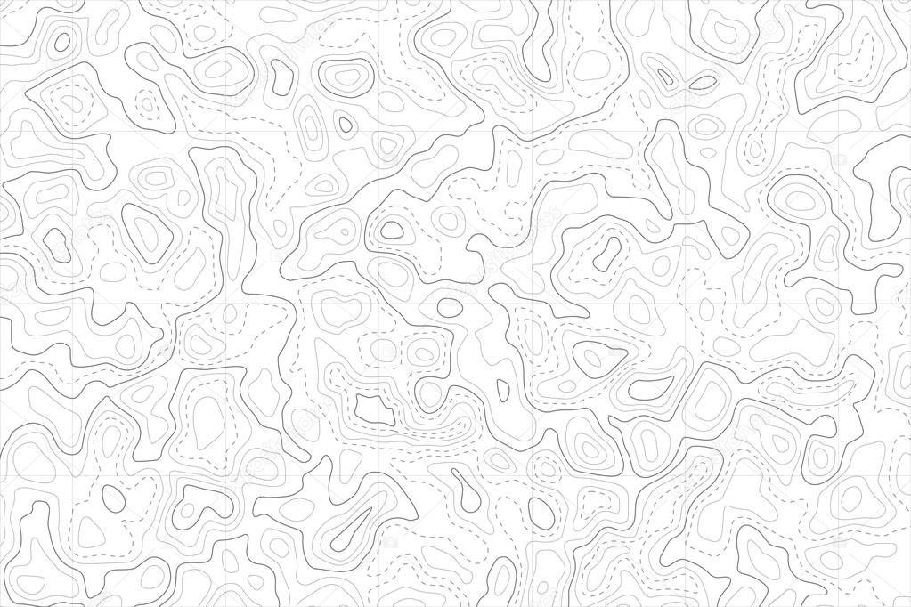 Relief topographic map of the area with high-level contour contours and geodetic grid. Abstract vectror line background isolated on white.