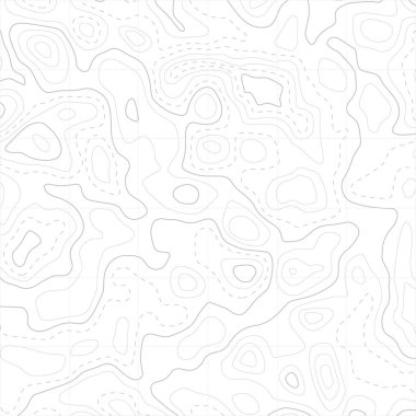 Relief topographic map of the area with high-level contour contours and geodetic grid. Abstract vectror line background isolated on white. clipart