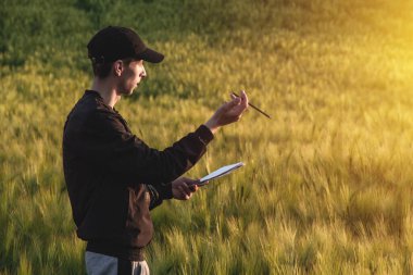 Şapkalı genç tarımcı gün batımında yeşil bir tarla arazisinde not alıyor.