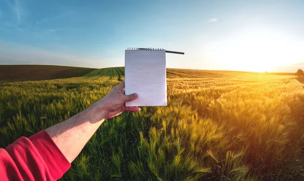 Young agronomist takes notes in a first-person notebook on a green agricultural field during sunset