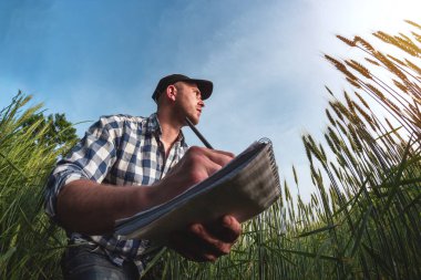 Şapkalı erkek tarımcı yeşil bir tarla tarlası üzerine not defteri tutuyor.
