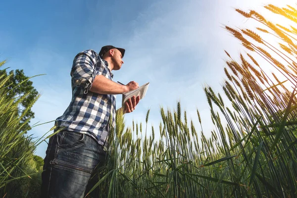 Şapkalı erkek tarımcı yeşil bir tarla tarlası üzerine not defteri tutuyor.