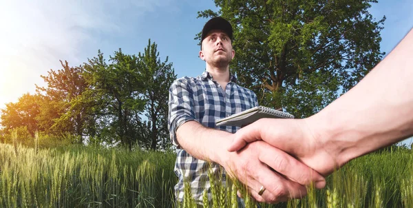 Męski Agronomista Czapce Notuje Notatniku Zielonym Rolniczym Polu Pszenicy — Zdjęcie stockowe