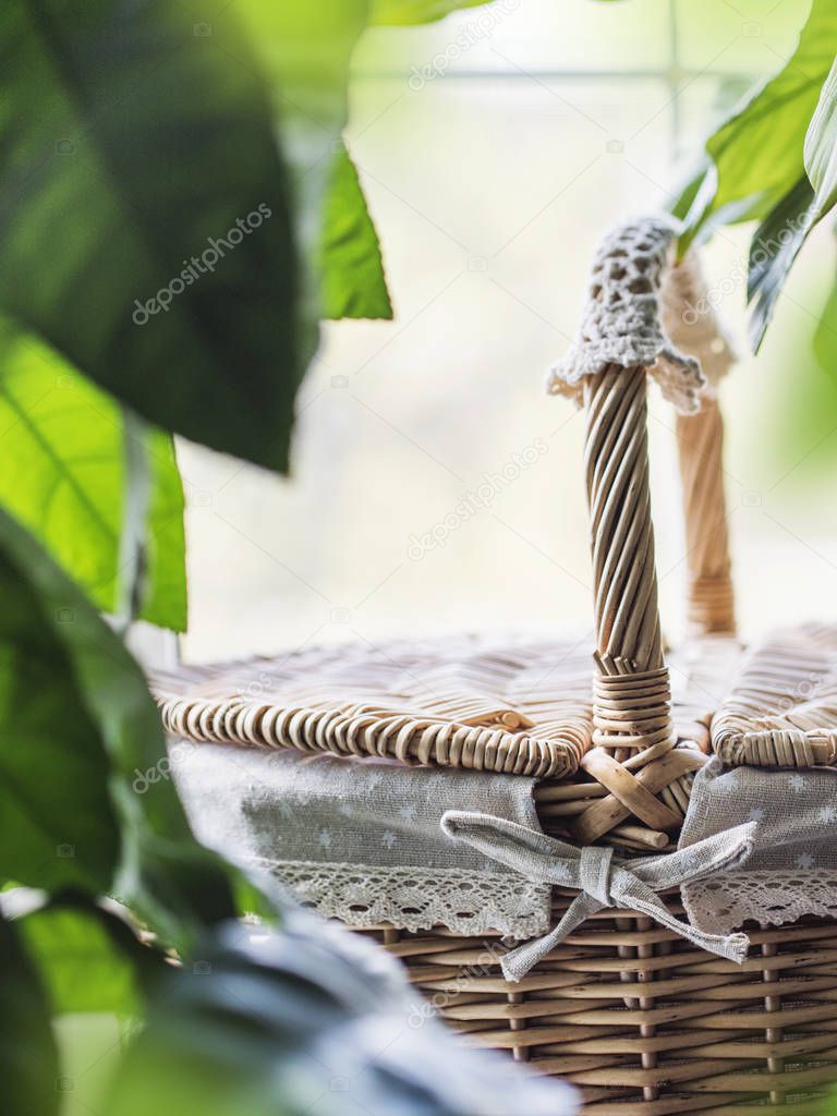 Vintage wicker basket on window sill with green plants