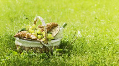 Vintage hasır sepet piknik yeşil üzüm ve şarap ile yeşil çimenlerin üzerinde duran kruvasan ile için