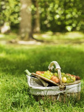 Vintage hasır sepet piknik yeşil üzüm ve şarap ile yeşil çimenlerin üzerinde duran kruvasan ile için