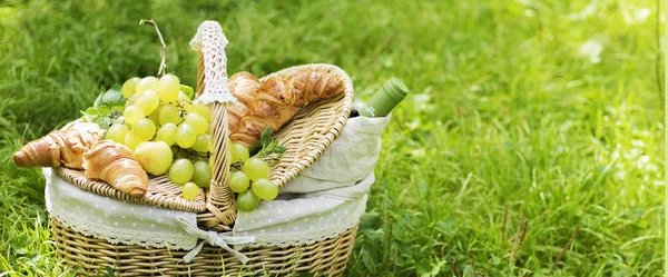 Cesta Mimbre Vintage Para Picnic Con Uva Verde Botella Vino — Foto de Stock