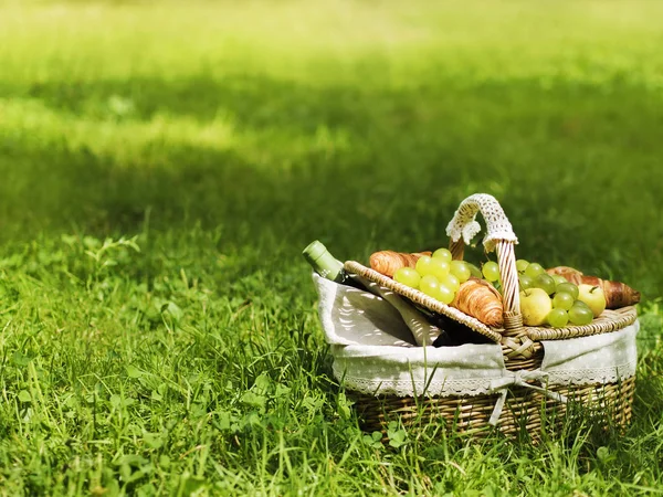 빈티지 바구니 피크닉 포도와 잔디에 와인의 — 스톡 사진