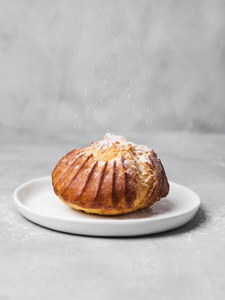 French profiterole with custard sprinkled and powdered sugar on white plate on gray background