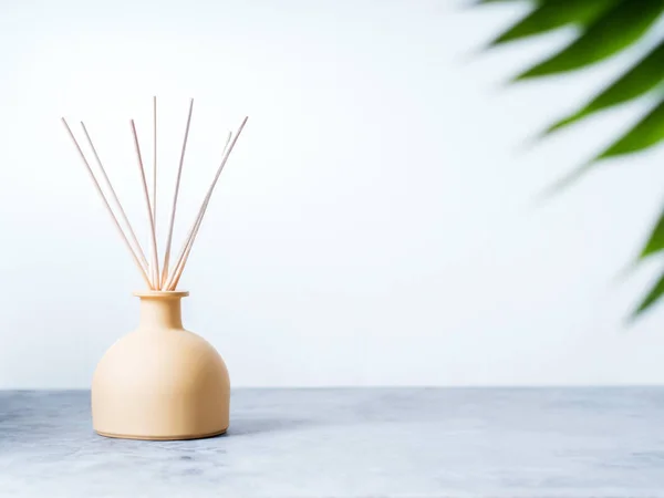 Aroma Reed Geur Diffuser Met Rotan Sticks Groene Palmtak Lichte — Stockfoto