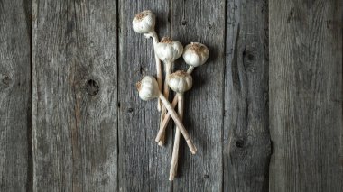 Kuru sarımsak başları gri ahşap arka plan üzerinde demet