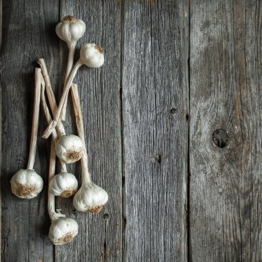 Kuru sarımsak başları gri ahşap arka plan üzerinde demet