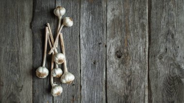 Kuru sarımsak başları gri ahşap arka plan üzerinde demet