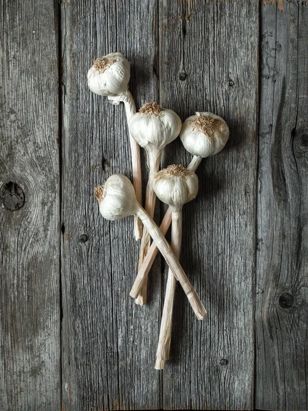 Kuru sarımsak başları üstten görünüm gri ahşap zemin üzerine