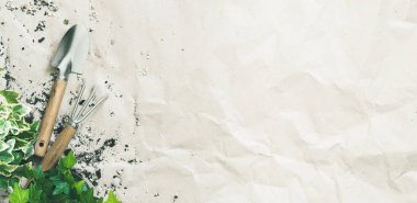 Yeşil sarmaşık twigs buruşuk Kraft kağıt üzerinde araçlarıyla Bahçe 