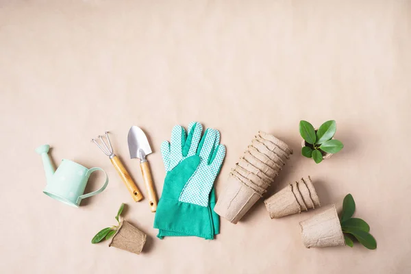 Ferramentas Jardinagem Vasos Flores Papel Regador Folhas Verdes Luvas Borracha — Fotografia de Stock