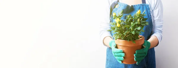 Vista Cercana Joven Mujer Plantando Rosas Maceta —  Fotos de Stock