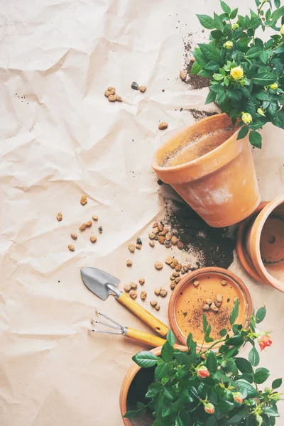 Telaio Attrezzi Giardinaggio Con Mini Rose Vaso Sfondo Carta Artigianale — Foto Stock