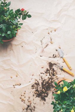 Bahçe aletleri ile küçük güller craft Kağıt arka plan üzerinde tencerede çerçevesinde