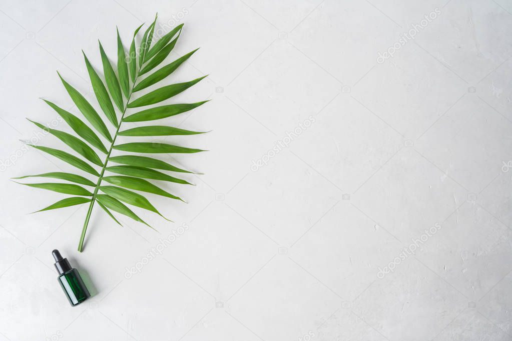 Palm tropical leaf with glass cosmetic bottle with medicine dropper on concrete light surface