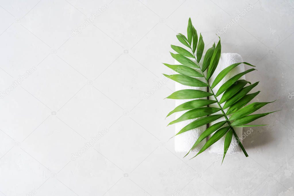 two white fluffy towels twisted into rolls on light surface with palm leaf