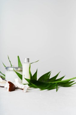 Cam kavanoz ve taze Hindistan cevizi adet şişe organik sağlıklı Hindistan cevizi yağı ile Hindistan cevizi yaprağı üzerinde ayarla