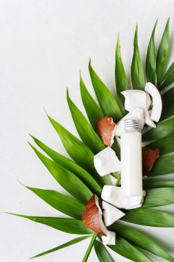 Hindistan cevizi yağı yağı şişe taze Hindistan cevizi taşların üstünden palmiye yaprağı ile