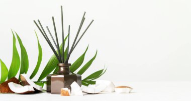 Aroma reed difüzör şişe eve koku rattan sopa ve beyaz arka plan üzerinde taze Hindistan cevizi adet ile 
