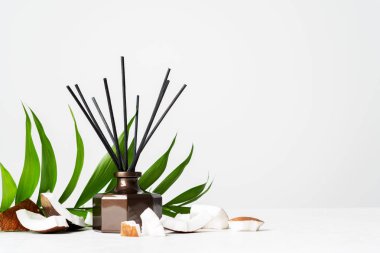 Aroma reed difüzör şişe eve koku rattan sopa ve beyaz arka plan üzerinde taze Hindistan cevizi adet ile 