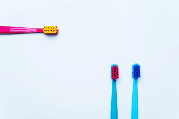 Colorful Toothbrushes Bright Color Bristles Light Pastel Blue Background — Stock Photo, Image