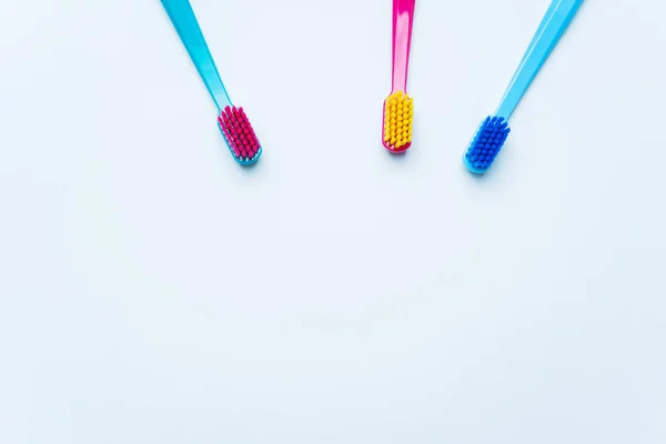 Parlak Renk Renkli Diş Fırçaları Kıllar Hafif Pastel Mavi Zemin — Stok fotoğraf