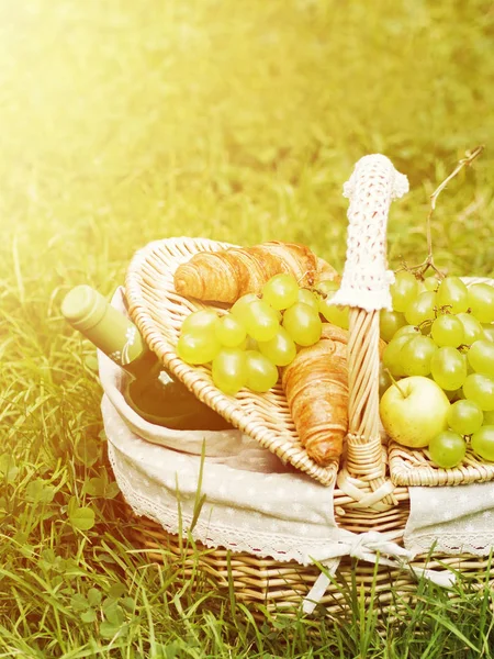 Cesta Mimbre Vintage Para Picnic Con Uva Verde Botella Vino — Foto de Stock