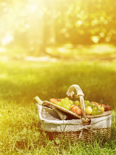 Cesta Mimbre Vintage Para Picnic Con Uva Verde Botella Vino — Foto de Stock