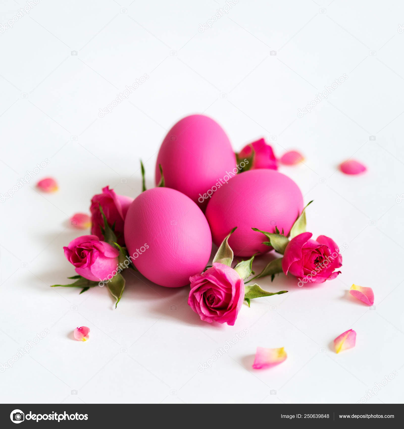 ピンクのイースター卵光装飾イースターエッグとピンクのバラ ストック写真 C Pinkasevich
