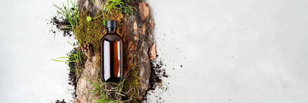 ガラス茶色のボトルに小さな苔や草 有機化粧品を含む樹皮の木 — ストック写真