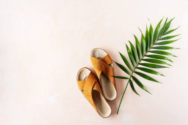 Pembe pastel arka plan üzerinde deri trendy parmak arası terlik ve tropikal palmiye yaprağı üst görünümü