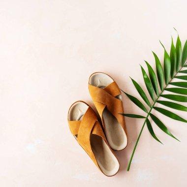 Pembe pastel arka plan üzerinde deri kahverengi parmak arası terlik ve tropikal palmiye yaprağı üst görünümü