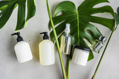 Yeşil yaprakları ile gri beton arka plan üzerinde ambalaj için şişe Kozmetik seti