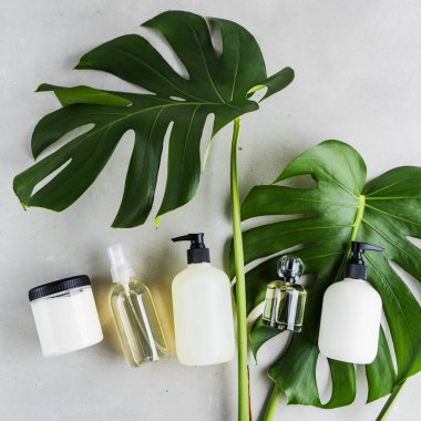 Yeşil yaprakları ile gri beton arka plan üzerinde ambalaj için şişe Kozmetik seti