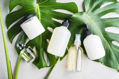 Yeşil yaprakları ile gri beton arka plan üzerinde ambalaj için şişe Kozmetik seti