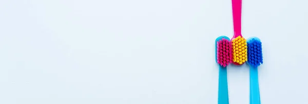 Барвисті Зубні Щітки Яскравою Кольоровою Щетиною Світлому Пастельному Синьому Фоні — стокове фото
