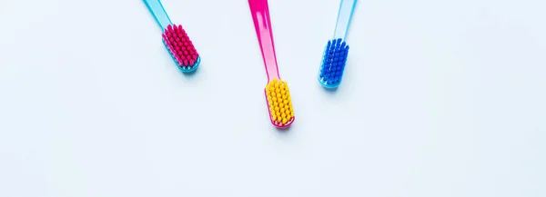 Parlak Renk Renkli Diş Fırçaları Kıllar Hafif Pastel Mavi Zemin — Stok fotoğraf