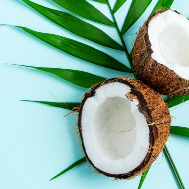 Turkuaz mavi ışık arka plan üzerinde palmiye yaprağı üzerinde taze hindistan cevizi ile Kompozisyon