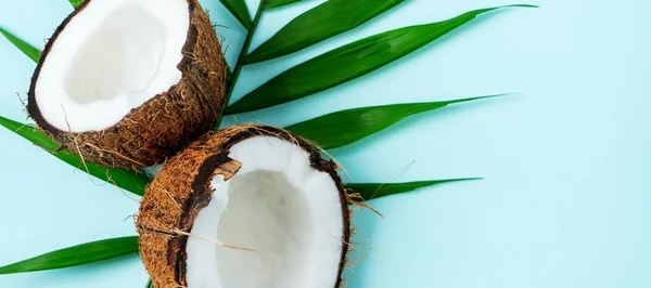 Samenstelling Met Verse Kokosnoot Palm Blad Turquoise Blauw Licht Achtergrond — Stockfoto