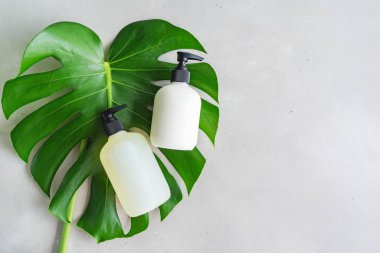 Yeşil yaprakları ile gri beton arka plan üzerinde ambalaj için şişe Kozmetik seti