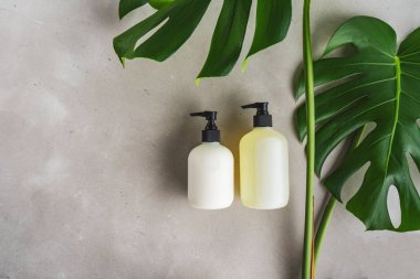 Yeşil yaprakları ile gri beton arka plan üzerinde ambalaj için şişe Kozmetik seti