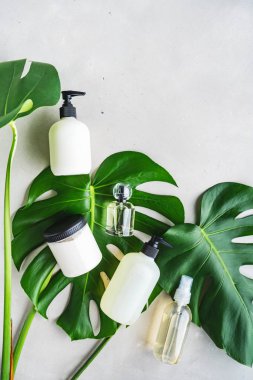 Yeşil yaprakları ile gri beton arka plan üzerinde ambalaj için şişe Kozmetik seti