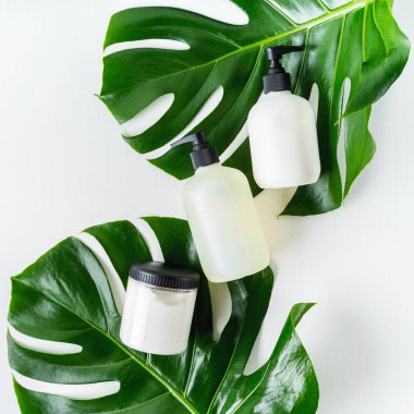 Yeşil yaprakları ile gri beton arka plan üzerinde ambalaj için şişe Kozmetik seti